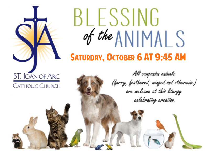 Blessing Of The Animals Liturgy Animal & Pets